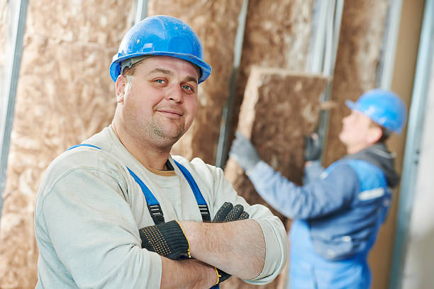 Best Insulation Removal Services  in Ossun, LA