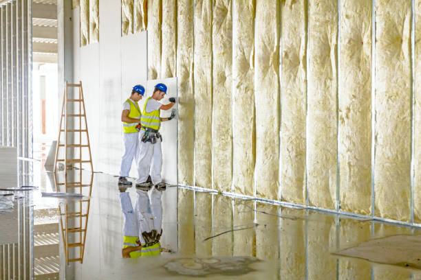 Best Insulation Contractors for Homes  in Ossun, LA